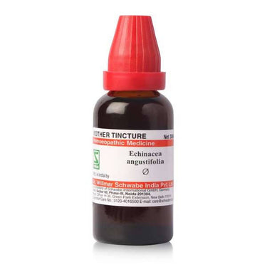 https://cdn.shopify.com/s/files/1/1857/6931/products/nBFf7amlu2.jpg?v=1634110606